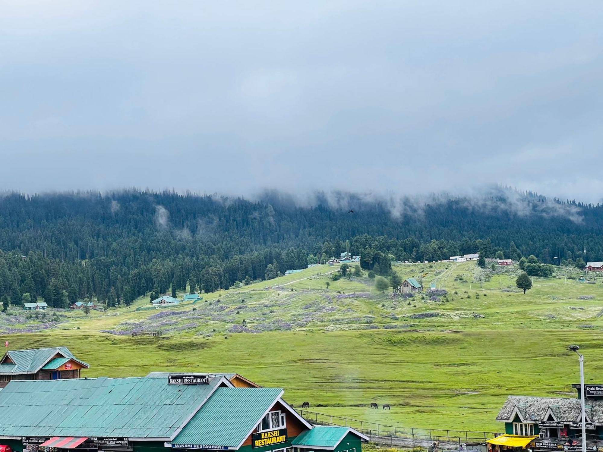 Pine View Resort Гульмарг Экстерьер фото